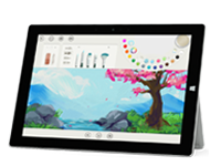 泾源Surface 无法开启、Windows 无法启动或电池无法充电